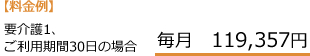 要介護１ご利用期間30日の場合　毎月119,357円